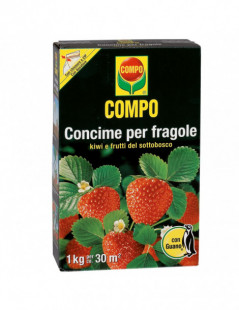 COMPO FRAGOLE CONCIME KG.1