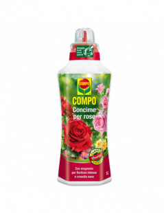 COMPO ROSE CONCIME LT.1
